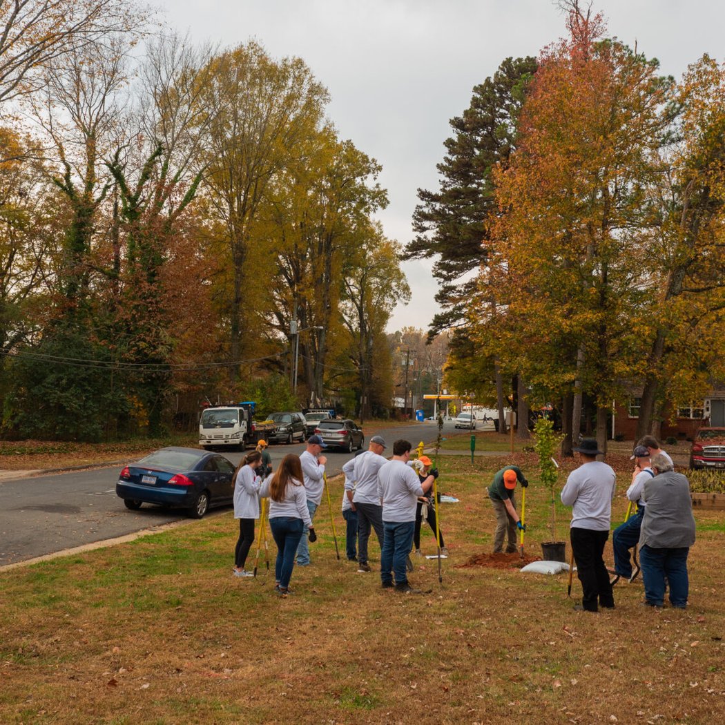 Vermillion HOA TreeDay 5